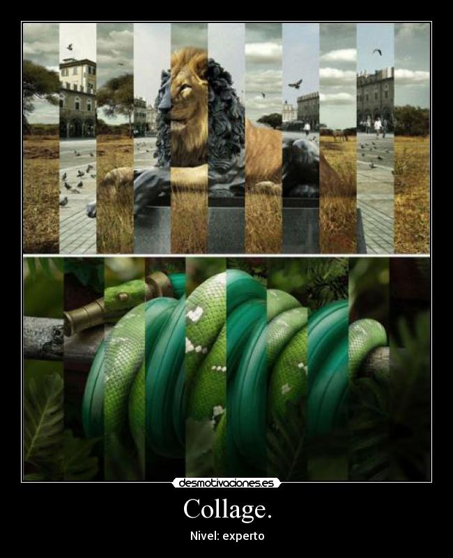 carteles collage nivel experto gibson2528 desmotivaciones