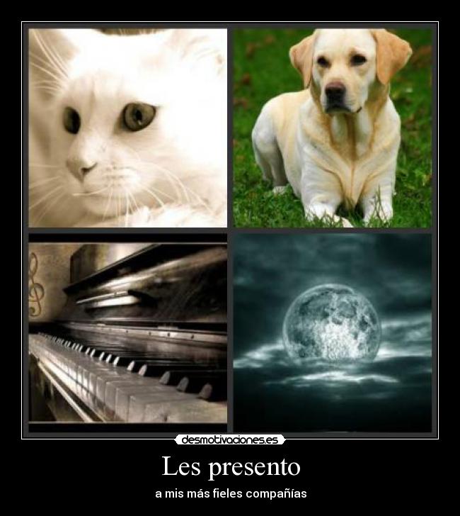Les presento - 