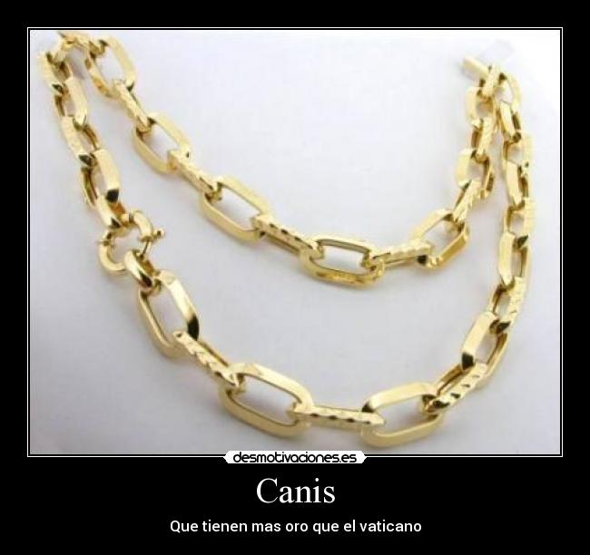 Canis - 