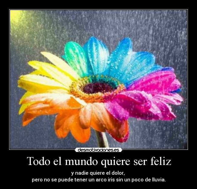 Todo el mundo quiere ser feliz -