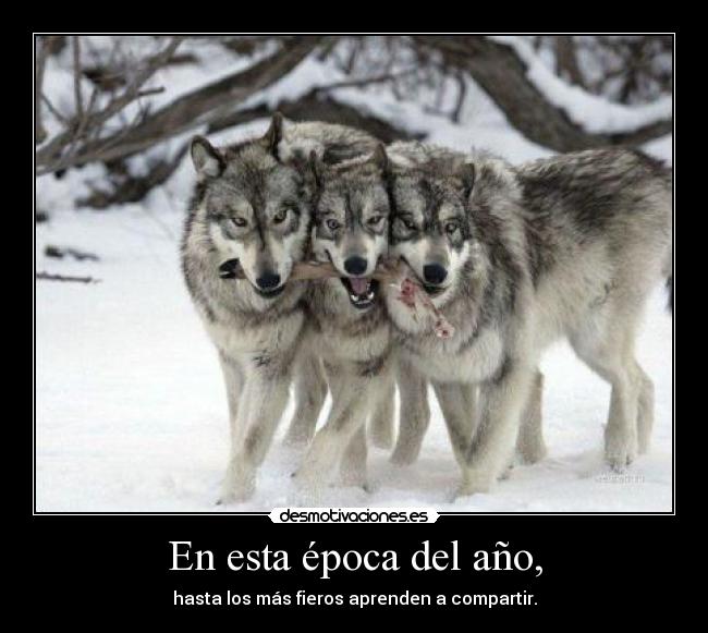 En esta época del año, -