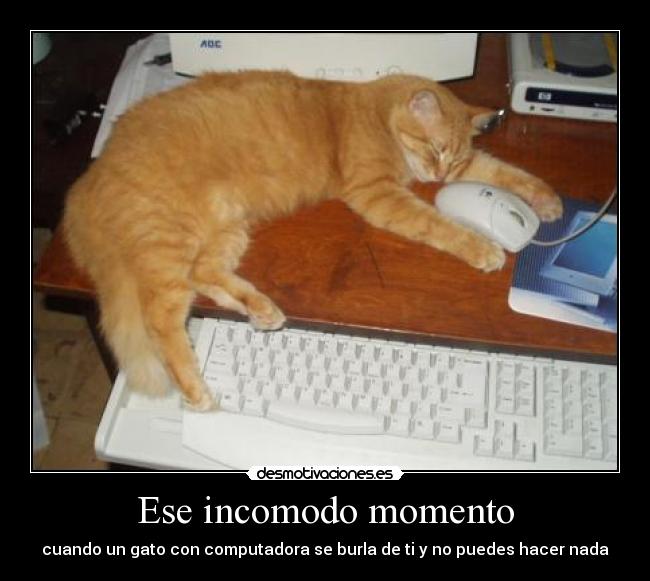 Ese incomodo momento - 