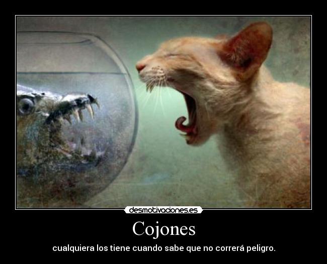 Cojones -