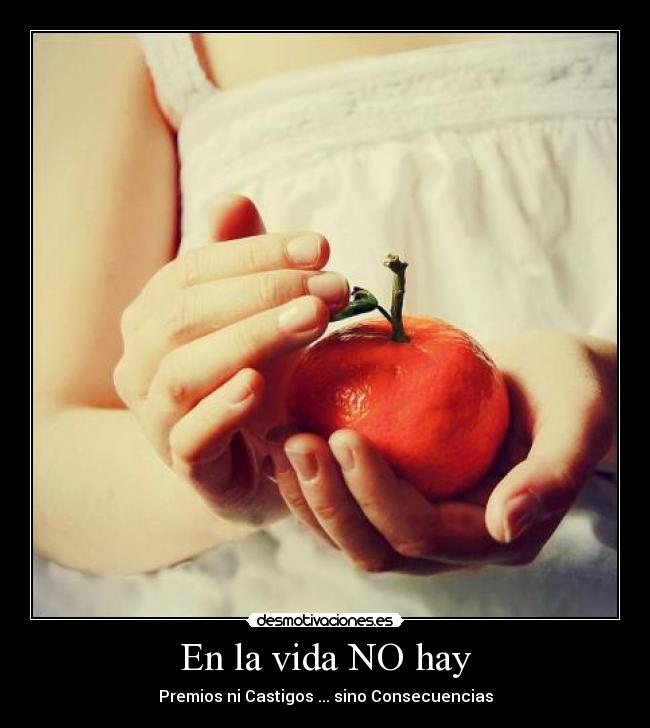 En la vida NO hay - Premios ni Castigos ... sino Consecuencias