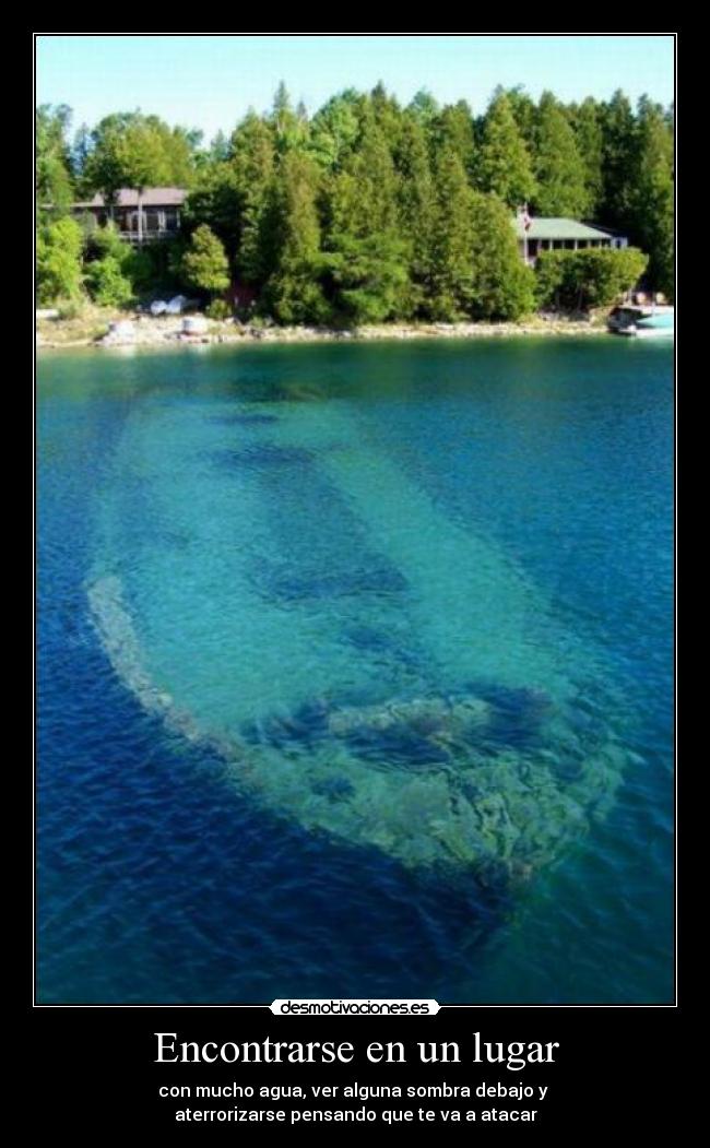 Encontrarse en un lugar - con mucho agua, ver alguna sombra debajo y
aterrorizarse pensando que te va a atacar