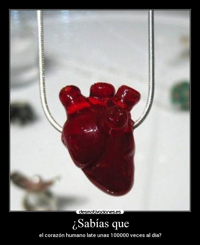 ¿Sabías que - el corazón humano late unas 100000 veces al día?
