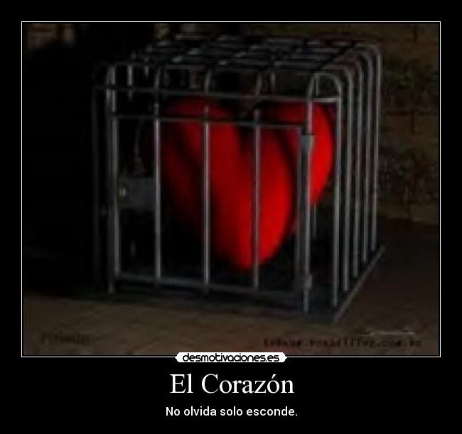 El Corazón - 