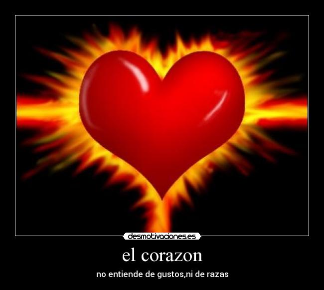 el corazon -