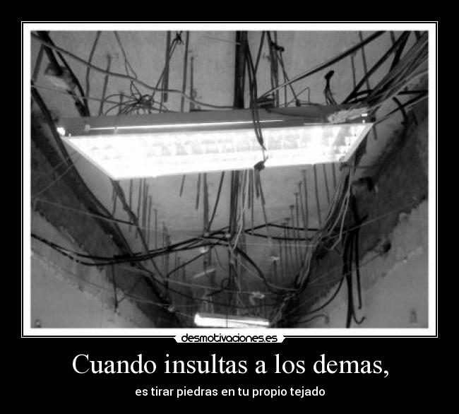 Cuando insultas a los demas, -
