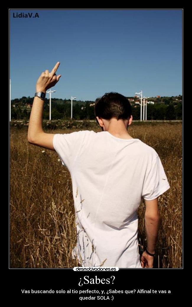 ¿Sabes? - Vas buscando solo al tio perfecto, y, ¿Sabes que? Alfinal te vas a quedar SOLA :)