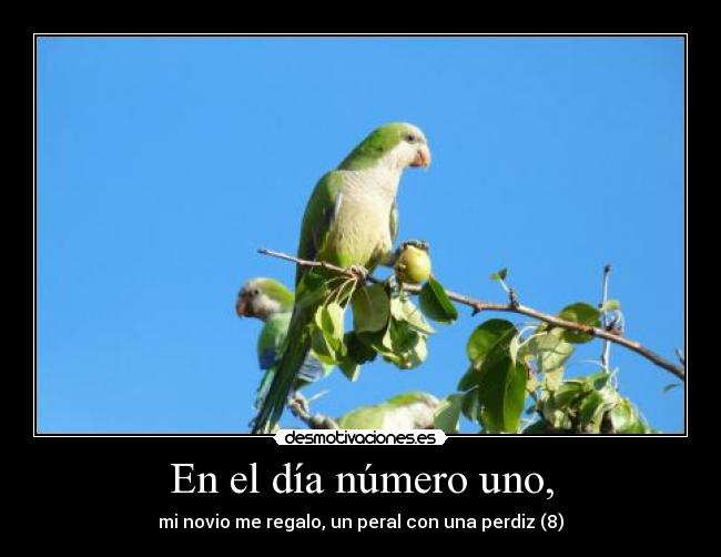 En el día número uno, - mi novio me regalo, un peral con una perdiz (8)