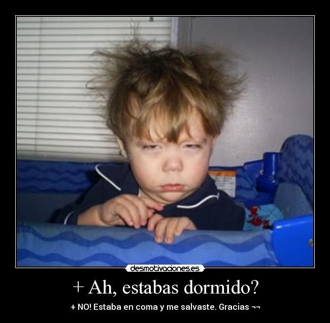 carteles dormir desmotivaciones