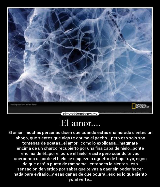 El amor.... - El amor...muchas personas dicen que cuando estas enamorado sientes un
ahogo, que sientes que algo te oprime el pecho....pero eso solo son
tonterías de poetas...el amor...como lo explicaría...imagínate
encima de un charco recubierto por una fina capa de hielo...ponte
encima de él...por el borde el hielo resiste pero cuando te vas
acercando al borde el hielo se empieza a agrietar de bajo tuyo, signo
de que está a punto de romperse...entonces lo sientes...esa
sensación de vértigo por saber que te vas a caer sin poder hacer
nada para evitarlo...y esas ganas de que ocurra...eso es lo que siento
yo al verte...
