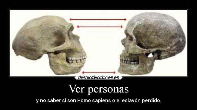 carteles comun desmotivaciones