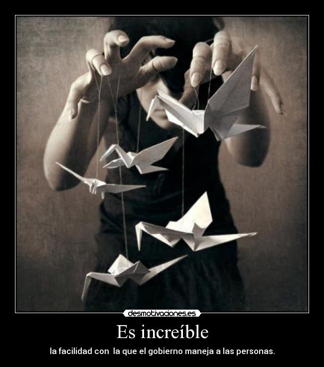 carteles miau desmotivaciones