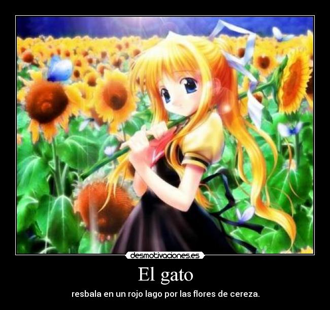 El gato - resbala en un rojo lago por las flores de cereza.