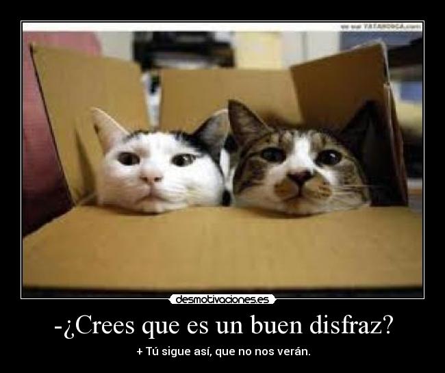 carteles 584201 desmotivaciones