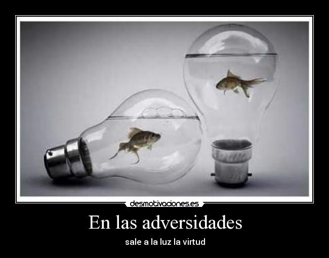 En las adversidades - sale a la luz la virtud