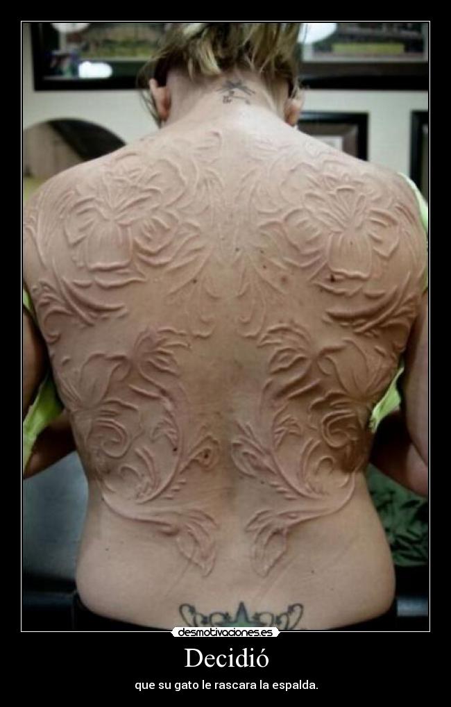 Decidió - que su gato le rascara la espalda.