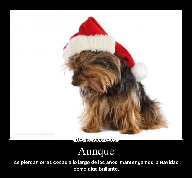 Aunque - se pierdan otras cosas a lo largo de los años, mantengamos la Navidad
como algo brillante.