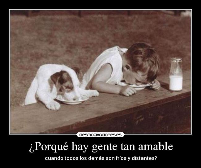 ¿Porqué hay gente tan amable - cuando todos los demás son fríos y distantes?