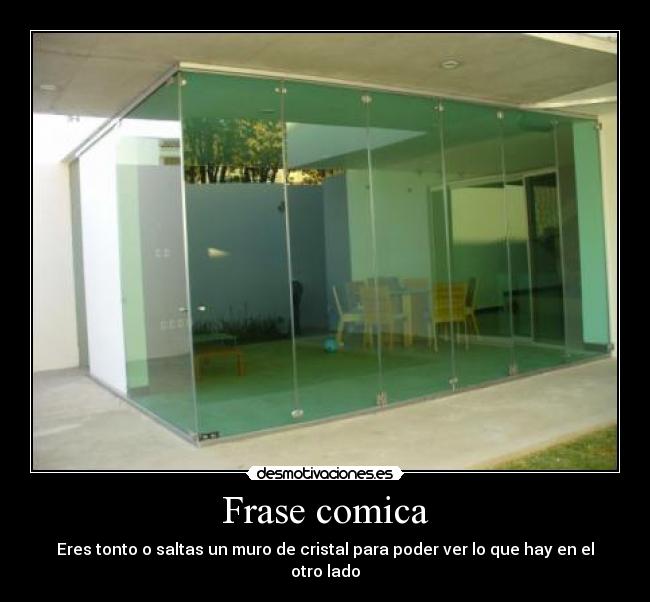Frase comica - Eres tonto o saltas un muro de cristal para poder ver lo que hay en el otro lado