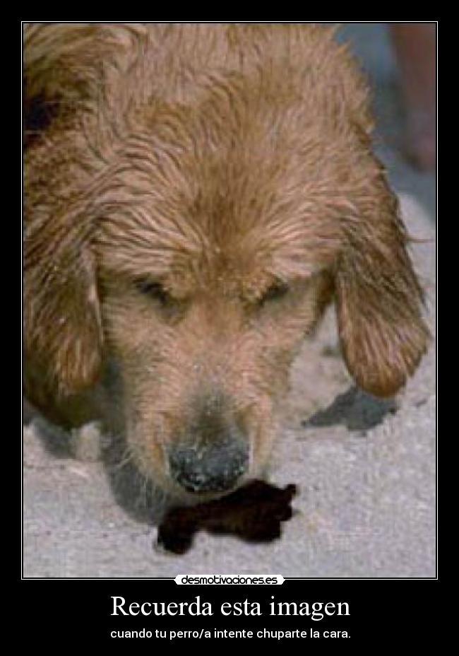 Recuerda esta imagen -