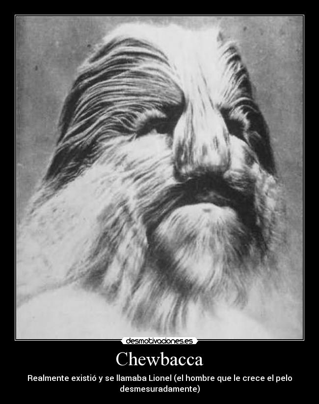 Chewbacca -