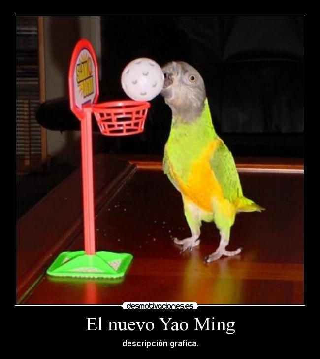 carteles yaoming loro xddddddd desmotivaciones