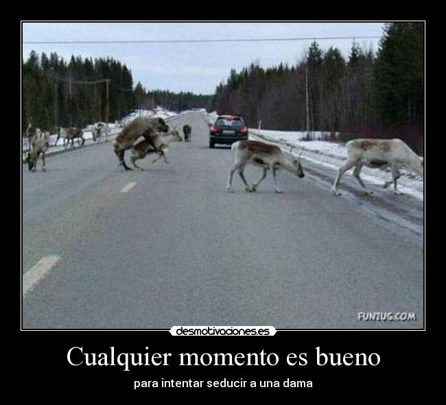 Cualquier momento es bueno - 