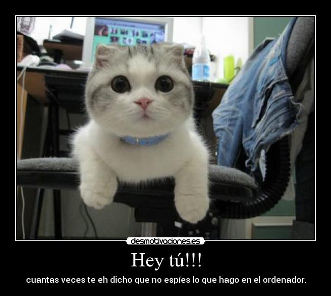 Hey tú!!! - cuantas veces te eh dicho que no espíes lo que hago en el ordenador.