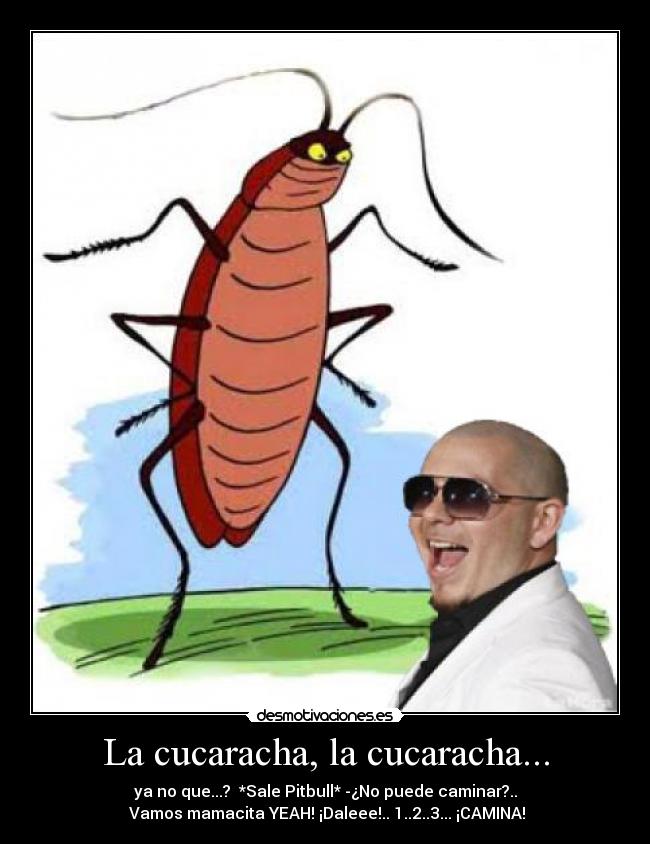 La cucaracha, la cucaracha... - ya no que...?  *Sale Pitbull* -¿No puede caminar?..
 Vamos mamacita YEAH! ¡Daleee!.. 1..2..3... ¡CAMINA!
