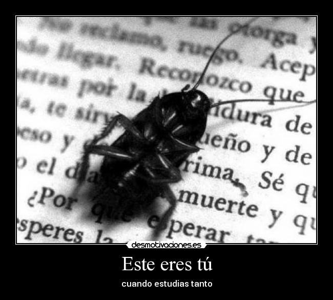 Este eres tú - cuando estudias tanto