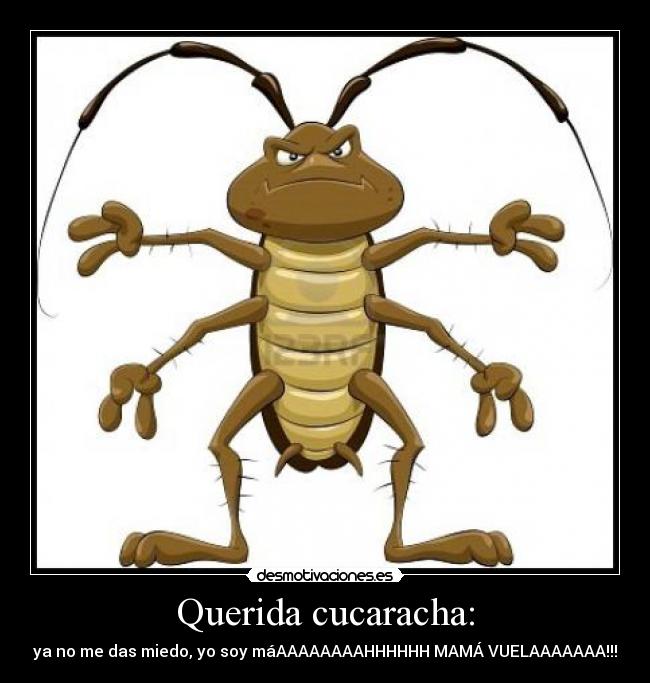 Querida cucaracha: - ya no me das miedo, yo soy máAAAAAAAAHHHHHH MAMÁ VUELAAAAAAA!!!