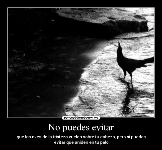No puedes evitar - que las aves de la tristeza vuelen sobre tu cabeza, pero si puedes
evitar que aniden en tu pelo