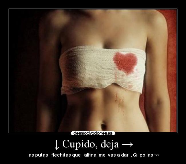 ↓ Cupido, deja → - 