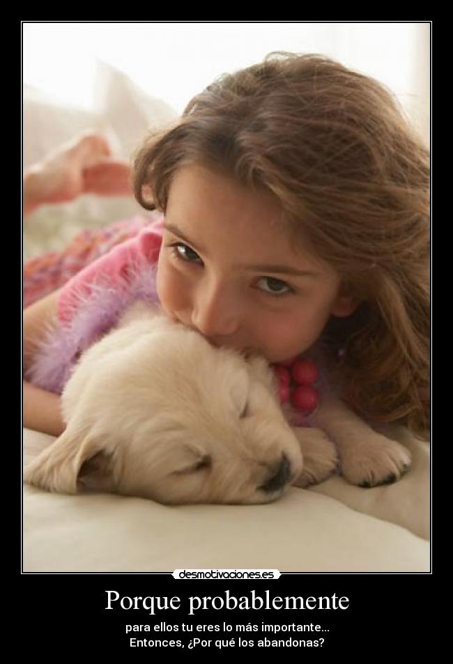 carteles perritoslosmejoresamigosdelhombre desmotivaciones