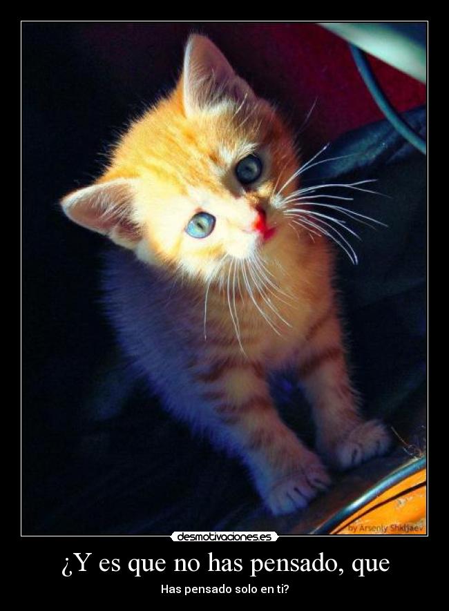 ¿Y es que no has pensado, que - Has pensado solo en ti?