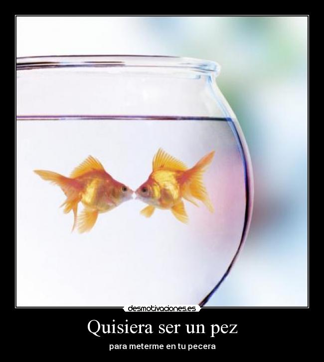 Quisiera ser un pez - para meterme en tu pecera