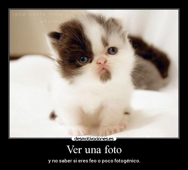 Ver una foto - y no saber si eres feo o poco fotogénico.