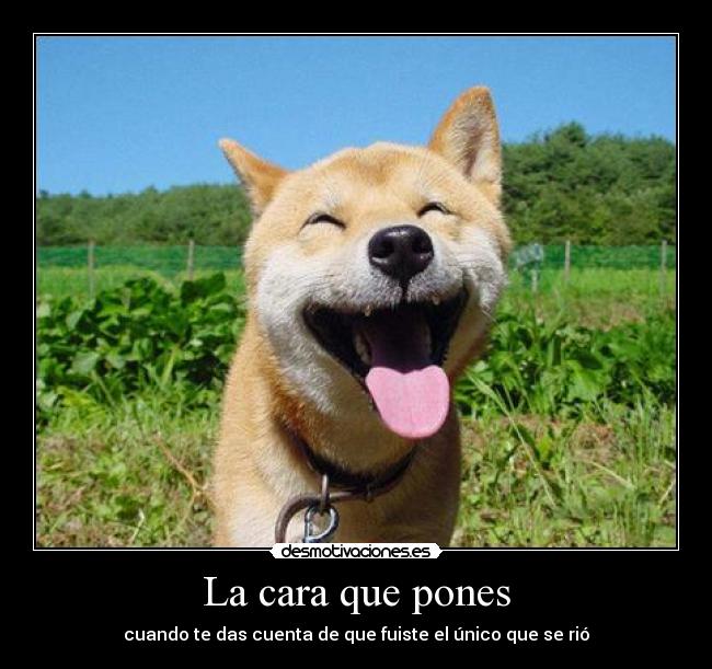 La cara que pones - cuando te das cuenta de que fuiste el único que se rió