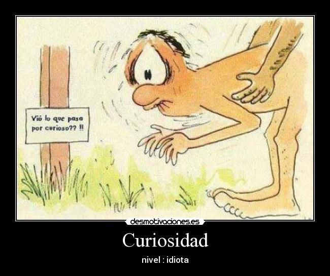 Curiosidad - nivel : idiota