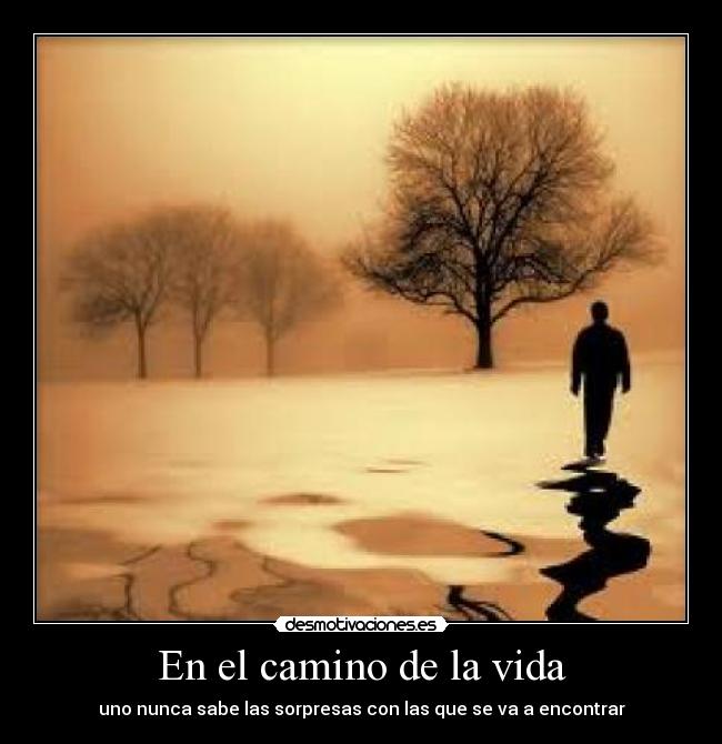 En el camino de la vida -
