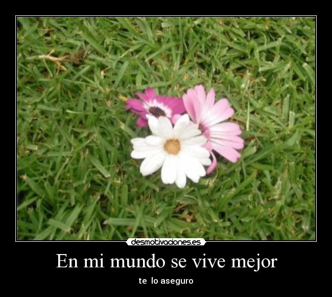 En mi mundo se vive mejor - te lo aseguro