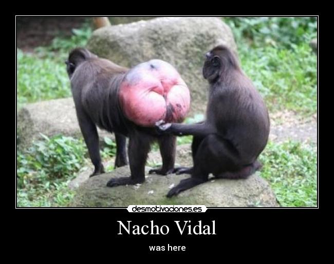 Nacho Vidal - was here