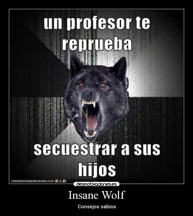 Insane Wolf - Consejos sabios