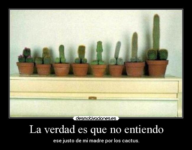 La verdad es que no entiendo -