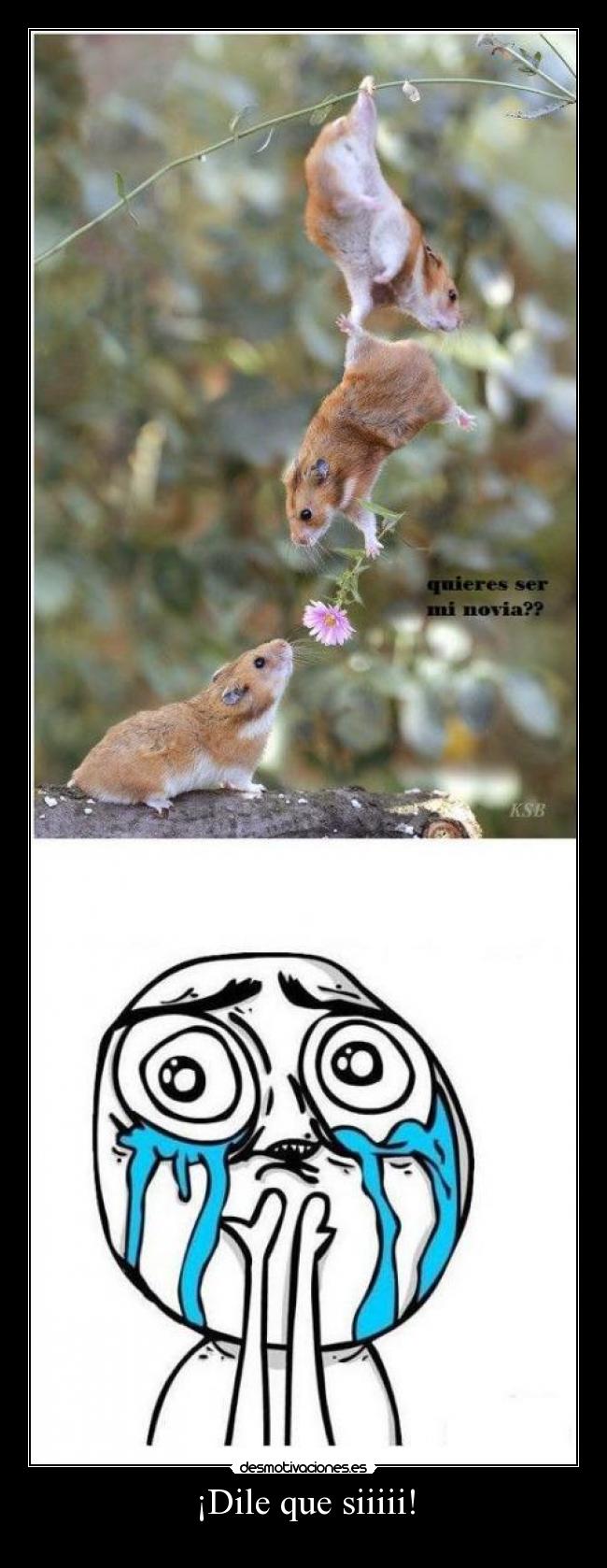 carteles que emozo meme ardillas quieres ser novia amo pariente walt desmotivaciones