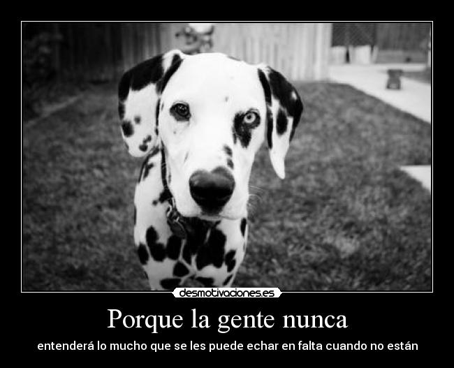 Porque la gente nunca - entenderá lo mucho que se les puede echar en falta cuando no están