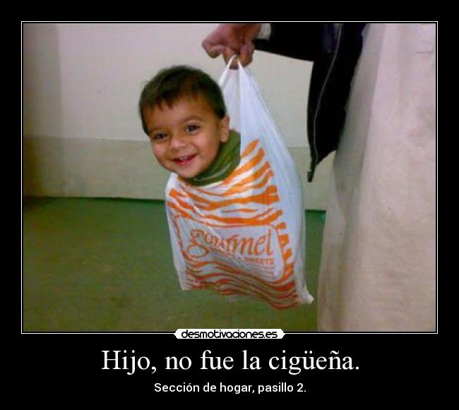 Hijo, no fue la cigüeña. -